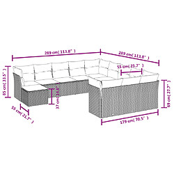 Avis vidaXL Salon de jardin avec coussins 12 pcs beige résine tressée