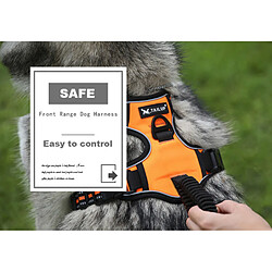 Avis Universal Animaux de compagnie nylon réfléchissant faisceau de chien sans étirement moyen réglable grand gilet de chien de ruée à l'or voiture de sécurité plomb marche course | bondage (orange)