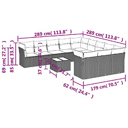 Acheter vidaXL Salon de jardin 12 pcs avec coussins noir résine tressée