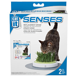 Cat-it Cat It - Herbe de Rechange pour Kit de Jardin Senses - x2