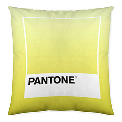 Pantone Housse de coussin Ombre C Réversible (50 x 50 cm)