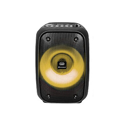 Acheter Trevi XF 150 KB Haut-Parleur amplifié 15 W avec karaoké, MP3, USB, Micro SD, Bluetooth, Fonction TWS, Microphone Dynamique, Batterie Rechargeable