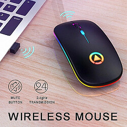 Universal Souris sans fil RVB RECHARGable Mouse Computer Maule Mause LED Mouse de jeu ergonomique Backlit pour