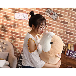 Avis Universal 50cm mignon hamster souris peluche peluche douce oreiller animal mains chaudes mignon enfant bébé jouet cadeau de Noël pour les enfants | animaux en peluche (brun clair)