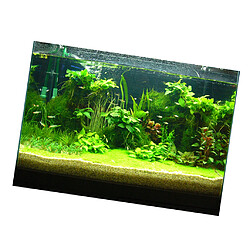 Décoration aquarium