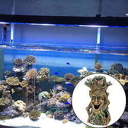 Décoration aquarium