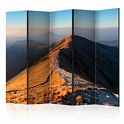 Paris Prix Paravent 5 Volets Mountain Footpath, Tatras 172x225cm 