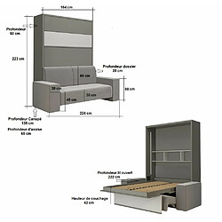 Avis Inside 75 Armoire lit escamotable PALACE SOFA 140*200 cm blanc mat canapé taupe MECANIQUE SEDAC MERAL