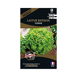 Sanrival Graines potagères premium laitue Batavia Florine