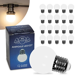 SkyLantern Lot de 20 Ampoules Guirlande Guinguette Led E27 Blanc Chaud