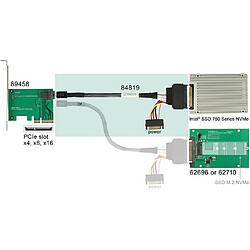 DeLock SFF 8643 - SFF-8639 + SATA 15 broches, 0,5 m, noir (84819)