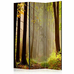 Paris Prix Paravent 3 Volets Mysterious Forest Path 135x172cm