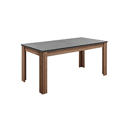 Linea Natura Table L.180/220 + allonge ANVERS imitation chêne vieilli/ béton