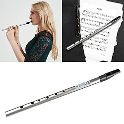 Acheter Triditional Irish Tin Whistle Flute 6 Trous Tin Penny Whistle High D Silver