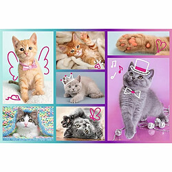 Trefl- Chatons Mignons 60 éléments-Puzzles Colorés avec Les Animaux, Chats, Collage, Divertissement Créatif, Jeu pour Enfants Plus de 4 Ans, 17373, Taille Unique