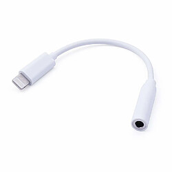 INECK® Adaptateur Lightning iPhone 7, 7 plus, 8, 8 plus, X vers prise casque Jack 3,5 mm pour iPhone/7/7/Plus et iPhone 6, iphone 8 écouteurs Rallonge Jack stéréo