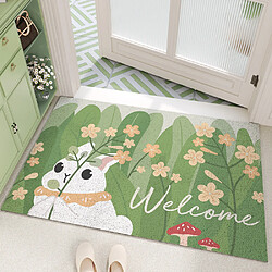 LUUCOZK Tapis de porte d'entrée antidérapants pour entrée intérieure - Motif 2-60x90cm 