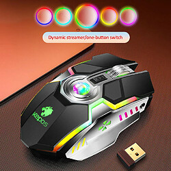 Universal Souris gaming sans fil G80 Souris gaming rechargeable Silencieuse et ergonomique Souris RGB rétroéclairée à 7 boutons 1600 ppp pour les gamers professionnels de l'informatique(Le noir) pas cher