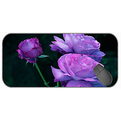 Universal (750x300x3) Tampon de souris de jeu extra large, tapis de coussinet de souris à fleurs de rose terrestre