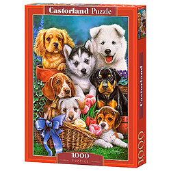 Castorland Puzzle 1000 pièces : Tableau de chiots