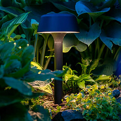 Avis Lumière Lampe de chemin solaire extérieure 19,5 cm IP44