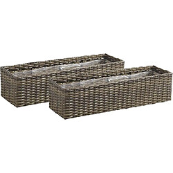 Aubry Gaspard Jardinière rectangulaire en rotin synthétique (Lot de 2).