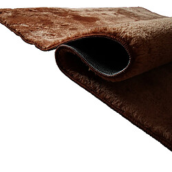 Avis Thedecofactory TENDREMENT - Tapis uni tout doux marron en polyester 120x160