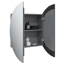 Acheter vidaXL Armoire de salle de bain miroir rond et LED Gris 54x54x17,5 cm