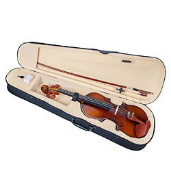 Acheter Violon acoustique