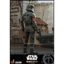 Avis Hot Toys Star Wars : Le Mandalorien - Figurine de soldat de transport 1/6