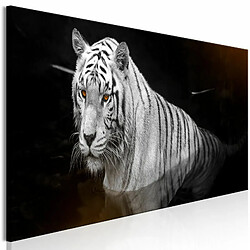 Paris Prix Tableau Imprimé Shining Tiger Orange Narrow 40 x 120 cm 