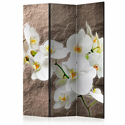 Paris Prix Paravent 3 Volets Impeccability of the Orchid 135x172cm