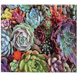 Universal 1000 pièces de puzzle décompressé puzzle éducatif jouet, succulent puzzle