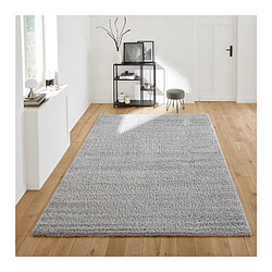 But Tapis 200x290 cm SIENA Gris.