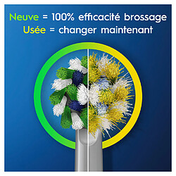 Acheter Oral-B - Vitality Pro - Violette - Brosse À Dents Électrique