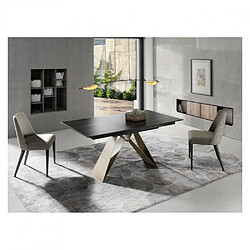 Inside 75 Table repas extensible ANAS 8 couverts 160/230x90cm pied métal bronze plateau céramique noir 