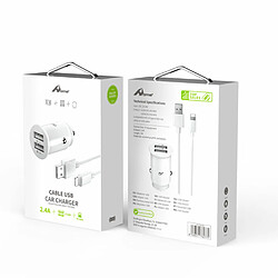 Chargeur de voiture Home YCC-01IP 2 x USB Lightning 