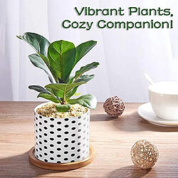 BESTA 4PCS Pot de Fleur, Mini Pots de Plantes Succulentes en Céramique avec Plateau en Bambou pour Petites Plantes Fleurs Cactus Décorations pour la Maison Décor pas cher