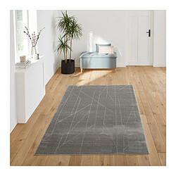 But Tapis 160x230 cm YASMINE Gris