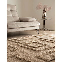 Avis Hadorn Tapis shaggy 185x125 brun Thun Artem