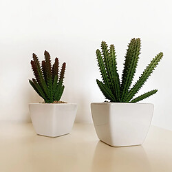 Wellhome Lot de 6 Cactus cardon Assortis artificiels et Pot en céramique 12 x 8 x 8 cm pas cher