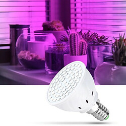 Tradex LED SMD 2W POUR CULTURE DE PLANTES FLEURS HYDROPONIQUES E14 E27