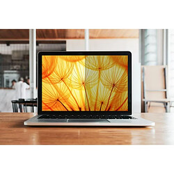 3M BP173W9B display privacy filters