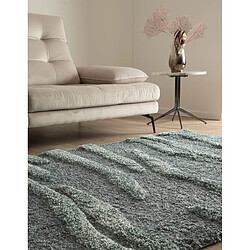 Avis Hadorn Tapis shaggy 245x160 Bleu Thun Tribus