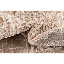 Acheter Hadorn Tapis 305x240 beige Bern Shimmer