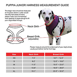 Acheter Puppia Junior Harnais pour Chien