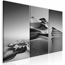 Paris Prix Tableau Imprimé Desert Landscape Collection 60 x 120 cm 