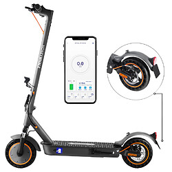 HONEYWHALE E9 MAX Scooter électrique 500 W 36 V 10 Ah40 km