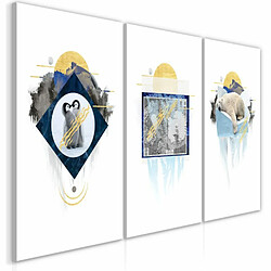 Paris Prix Tableau Imprimé Antarctica Collection 30 x 60 cm 