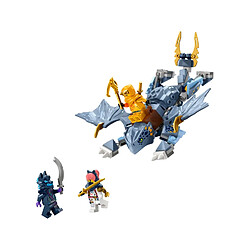 LEGO NINJAGO LEGO® Ninjago® 71810 Le jeune dragon Riyu pas cher